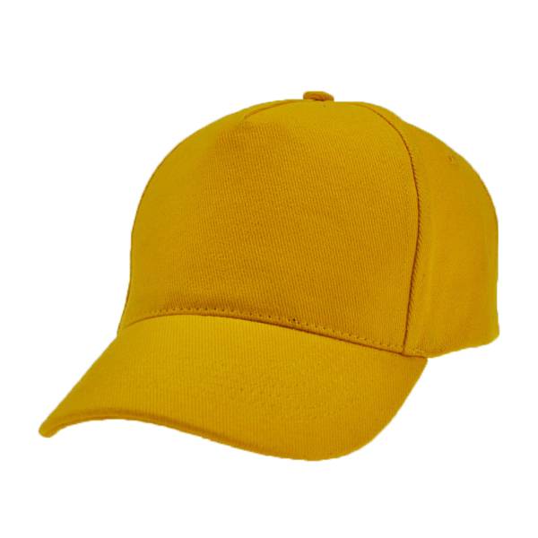 5002: baseball caps